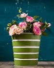 5.5-inch-by-3.5-inch Store Indya S Multipurpose Metal Pot White On Green