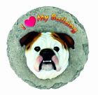 758606271200 Spoontiques Bulldog Stepping Stone 758606254401
