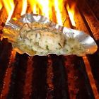 793842157093 Sos Shells Oyster Stainless