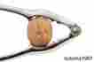 Est0242 Estilo Heavy Duty Pecan Nut And Seafood Cracker Silver Tool To Crack A 646437194198