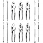 Lcl18101901 Chasoeo Crab Crackers Tools Lobster And Seafood Set 722704073295 Lcl18101901 Chasoeo Crab Crackers Tools Lobster And Seafood Set 722704073295