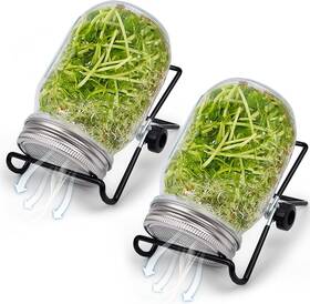 Morden Ms 726084585706 Seed Sprouting Jar Kit Wide Mouth Mason Jars Microgreens Growing 2 Pack Morden Ms 726084585706 Seed Sprouting Jar Kit Wide Mouth Mason Jars Microgreens Growing 2 Pack