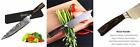 Na Yooyo Best Japanese Damascus Steel Inch Chef 725022631758
