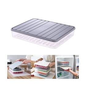 100nabinssbig001 Naranqa Food Storage Bin Vegetable Organizer With Lid Clear Fridge Crisper ... Fast Ship