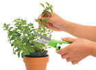390062 Pro Herb 390062 Pro Herb