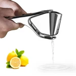 Lemon Squeezer, Stainless Steel Juicer, Manual For Citrus .... Fixed Price $28.38.