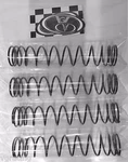 Vg Racing X-maxx Tuned Progressive Springs Powder Coated Matt Black. Fixed Price $33.99.