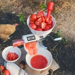 Weston Roma Food Strainer Sauce Maker Tomato Mill 07-0801 New. Fixed Price $58.99.