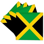 3DROSE Flag Of Square Caribbean Jamaican Green Black Yellow Coaster. Fixed Price $35.43.