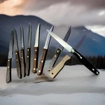 Nine Steak Knives Lot, Biltmore Classic, Imusa, Wooden Handles, Stainless Steel. Fixed Price $7.94.