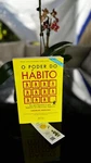 Poder Do Habito (em Portugues Brasil) - Charles Duhigg. Fixed Price $29.94.