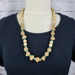 Boho Nut, Seed, Wood Turquoise Stone & Shell Long Layering Natural Necklace. Fixed Price $16.48.