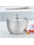 Princess House Healthy Cook-solutions 10" 6-QT Dutch Oven (5845) New Box. Fixed Price $119.99.