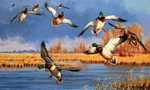 Ceramic Backsplash Tile Mural Waterfowl Kitchen/bathroom - Down From The North. Fixed Price $288.00.