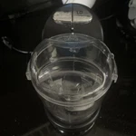Rival Fp 200 Mini Food Chopper Processor Black Electric Kitchen Tool. Fixed Price $14.99.