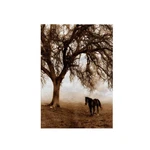 3DROSE Western Sepia Horse Ranch Oak Tree Towel 15X22 Multicolor Twl 202972. Fixed Price $17.48.