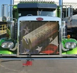 Designer "we The People" Mesh Bug Screen - All Make/model/year Semi Supported!. Fixed Price $150.00.