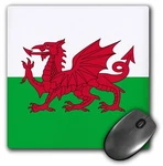 3DROSE Flag Of Wales - Welsh Red Dragon White And Green Y Ddraig Goch Uk Un. Fixed Price $16.99.