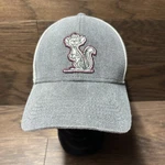 47 Minnesota Golden Gophers Hat Cap Gray Goldie Logo Strap Back GR41. Fixed Price $17.99.