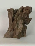 Hand-carved Wooden Tree: 2 Lizards On The Vietnam. Fixed Price $599.00.