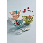 Mud Pie E2 Botanica Berry Strainer Set Basket 3.5X5.5" Di 41540015 -choose Color. Fixed Price $25.49.